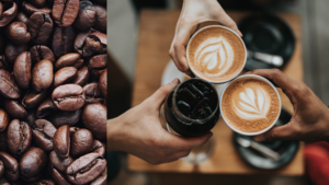 From Bean to Cup: The Fascinating Journey of Coffee!